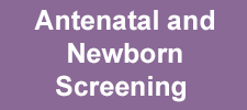 Antenatal and Newborn Screening