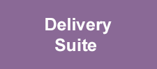 Delivery Suite Button