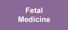 Fetal Medicine button