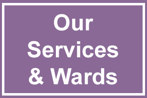 Our Services and wards button