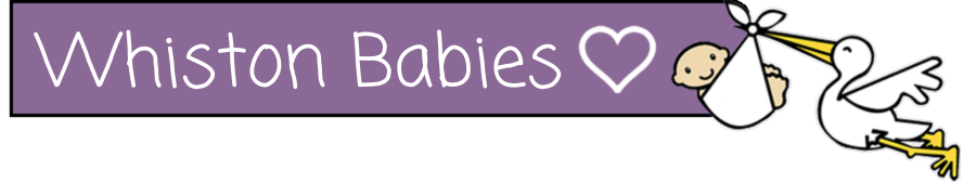 Whiston babies header showing cartoon stork carrying a baby with Whiston babies text