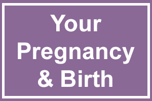 Your pregnancy and birth button