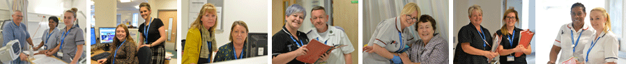 A selection of photographs showing staff in various roles across the Trust